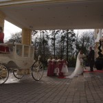 Princess Wedding Carriage